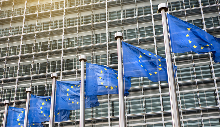 EU flags